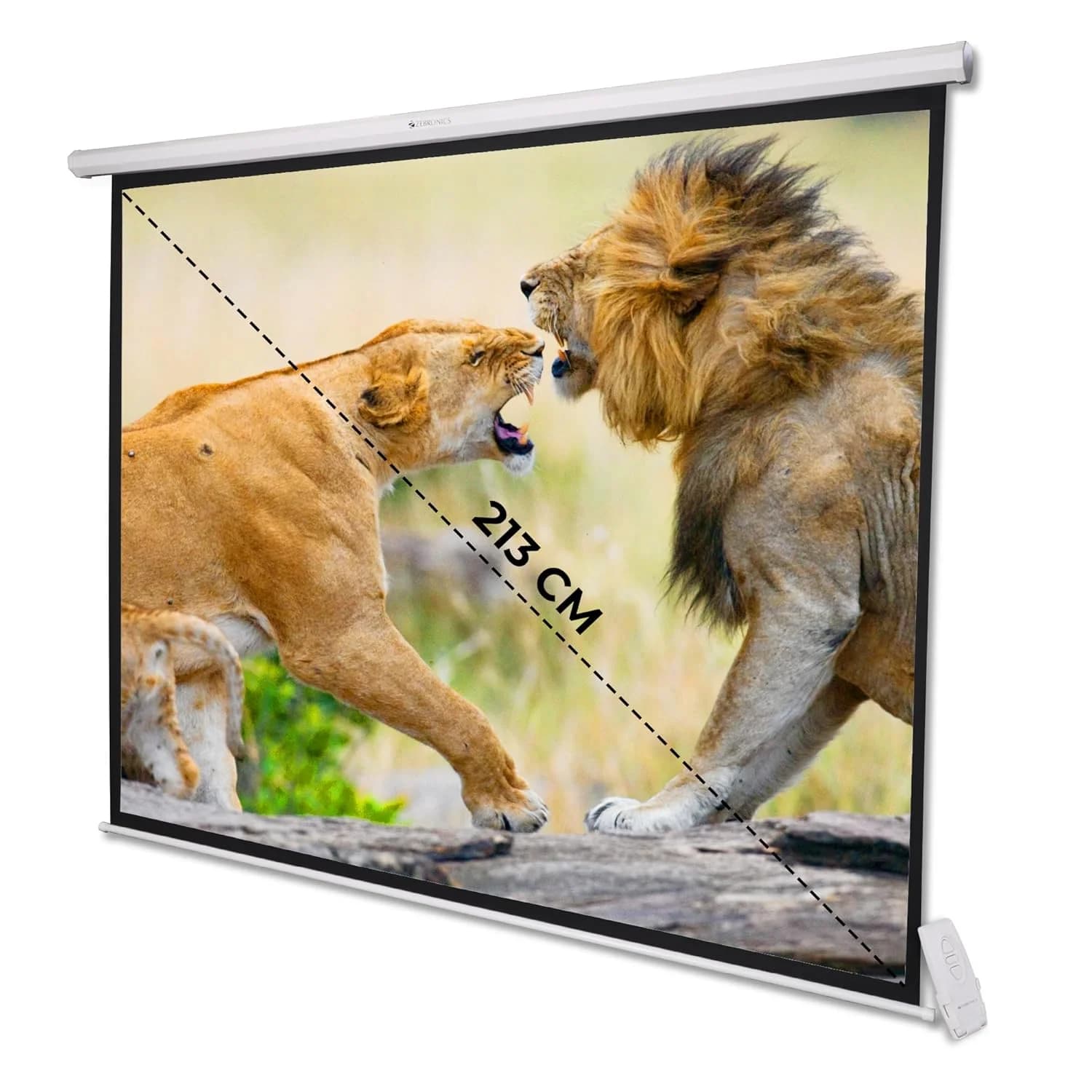 Zebronics PSM84A 84" Motorised Projector Screen — image 1