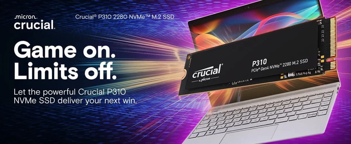 Crucial P310 1TB PCIe Gen4 NVMe 2280 M.2 SSD — image 1