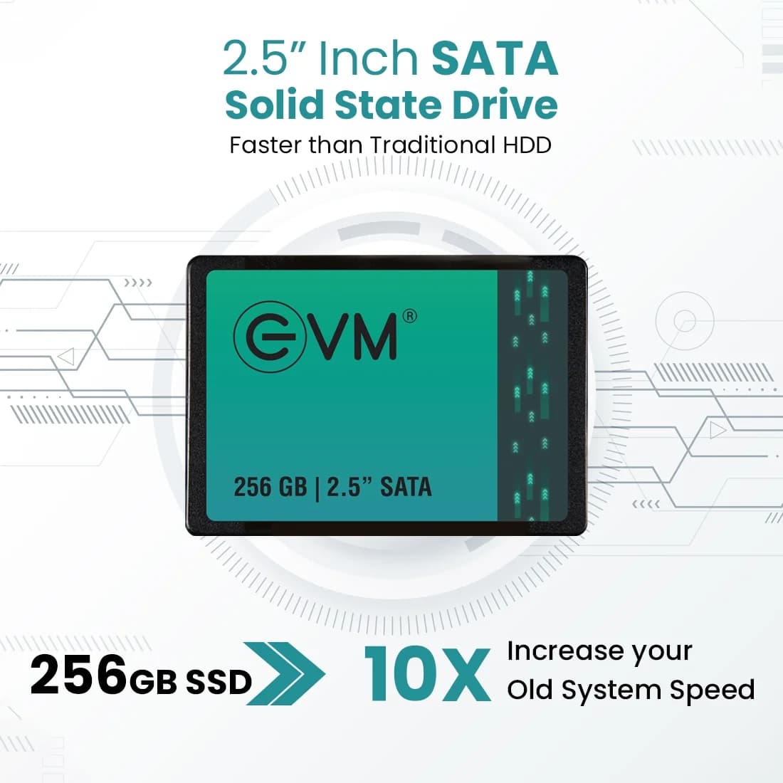 EVM 256GB Internal SSD 2.5" INCH SATA — image 1